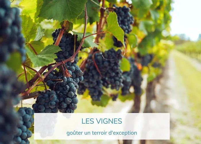 La Tartane Готель 5*